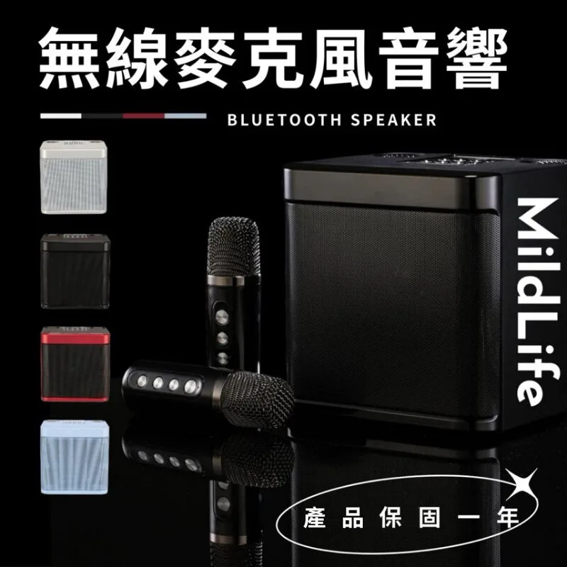 YS-203 雙人 藍芽麥克風